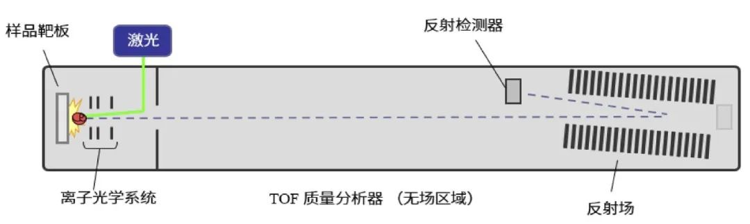 线性