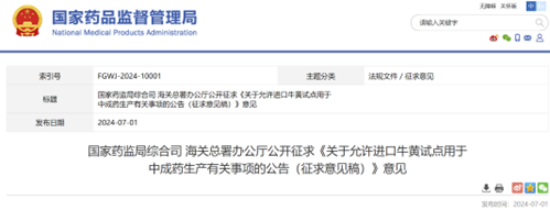 意见