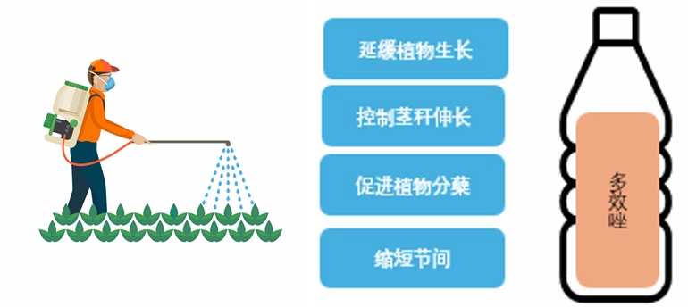 分类